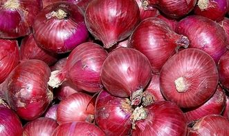 	你(nǐ)知(zhī)道(dào)吃(chī)洋蔥有(yǒu)哪些(xiē)的(de)好(hǎo)處嗎(ma)？