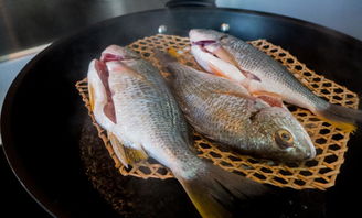 六類人(rén)群不(bù)宜多(duō)吃(chī)魚