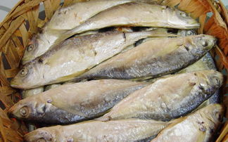 	如(rú)何分(fēn)辨哪些(xiē)魚受過污染？